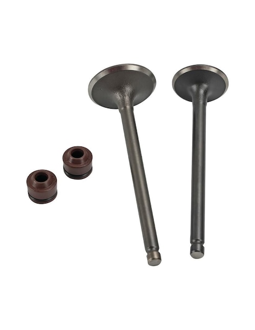 Set válvula de admisión para motocicleta Roda