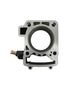 Cilindro con pistón Roda
