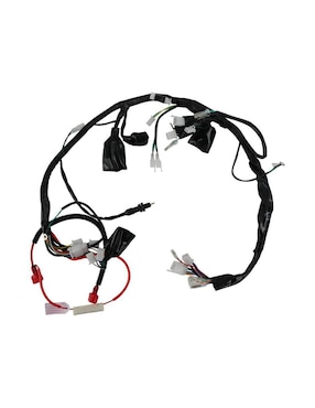 Arnes eléctrico para motocicleta Roda