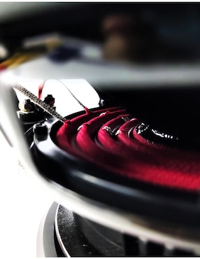Subwoofer Monster SWE801