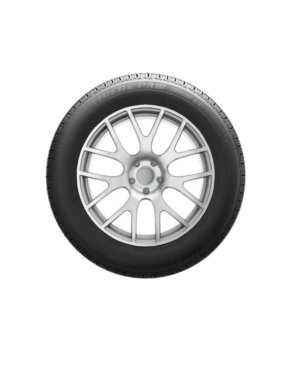 Llanta para auto Tiger Paw Touring A/S 175/65R15 3