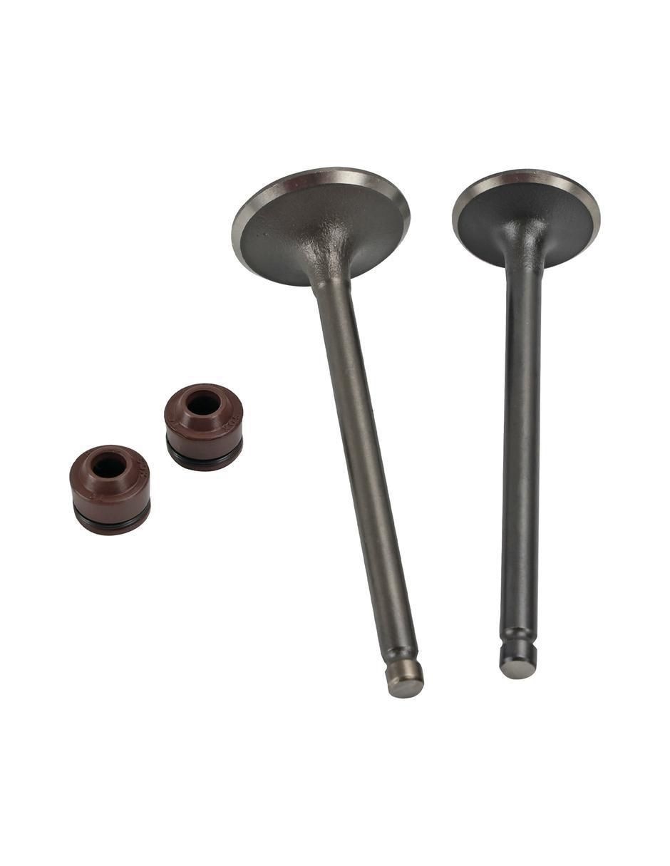 Set válvula de admisión para motocicleta